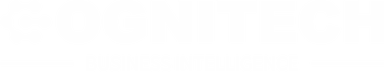 Cognitech Business Intelligence